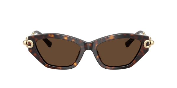 TF4231U Tiffany & Co. Havana/Brown XL