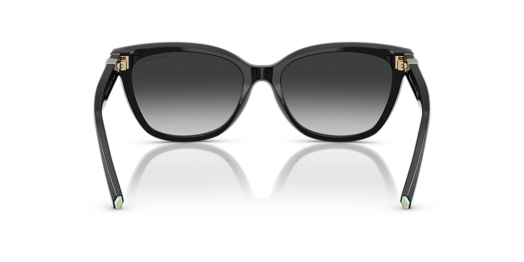 TF4237B Tiffany & Co. Black/Grey M