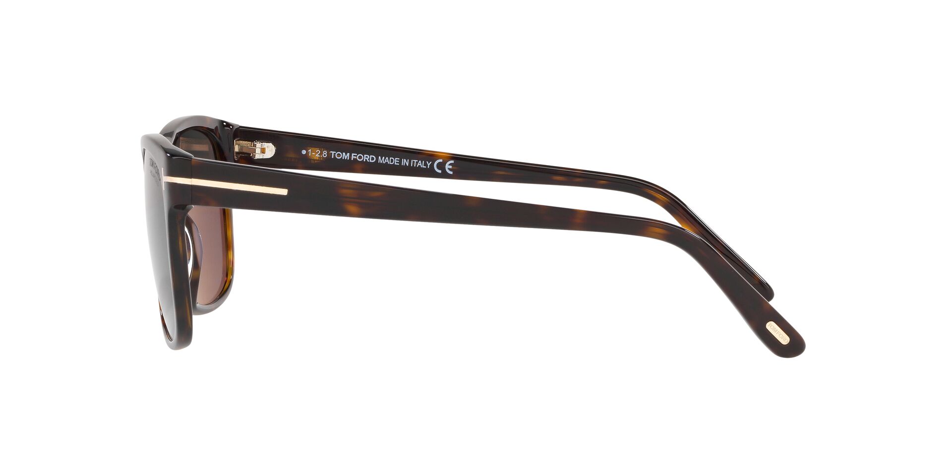 TR001050 Tortoise/Grey Polar/Polarized STD