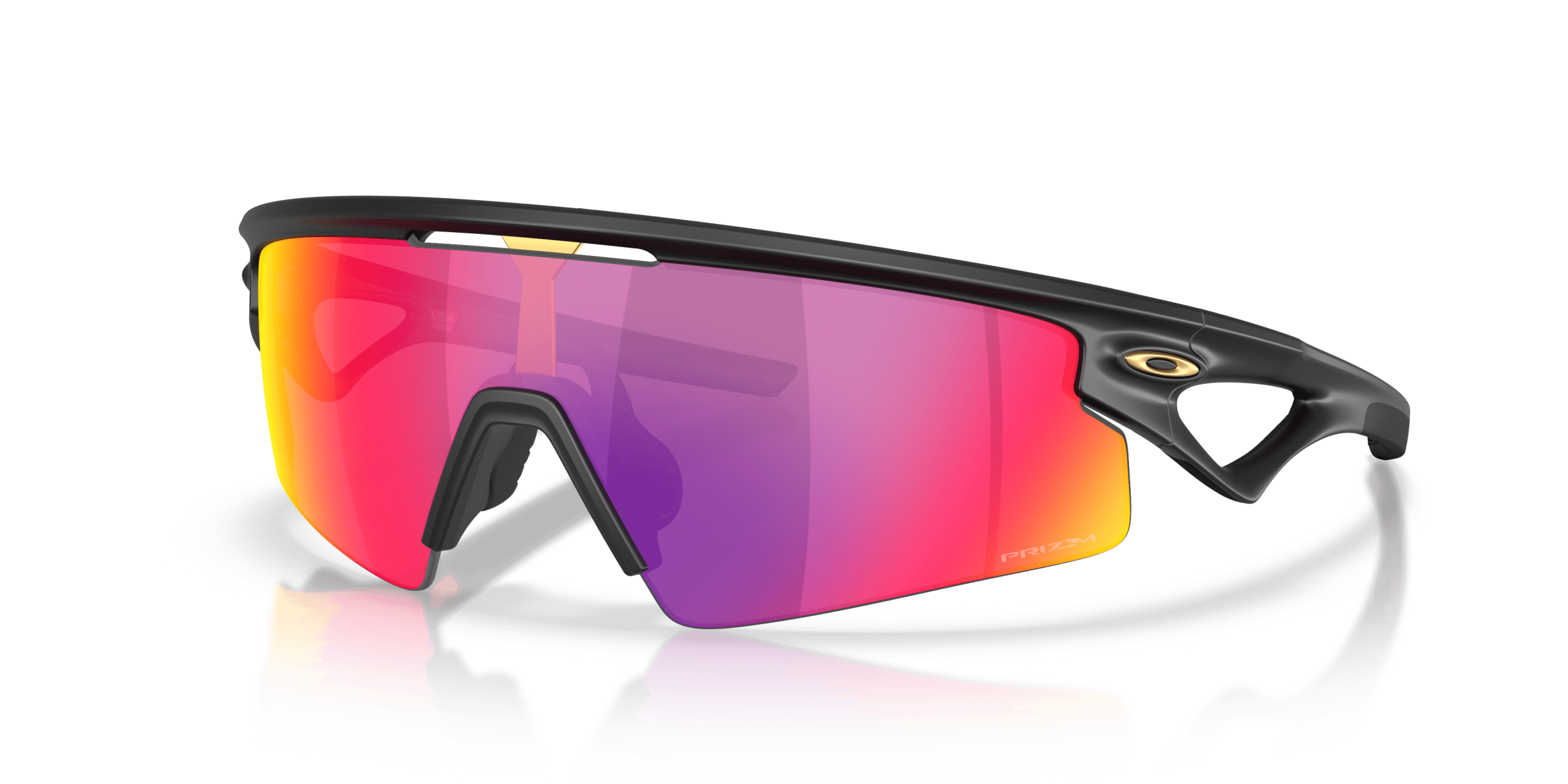 Sphaera OAKLEY Black/Violet L