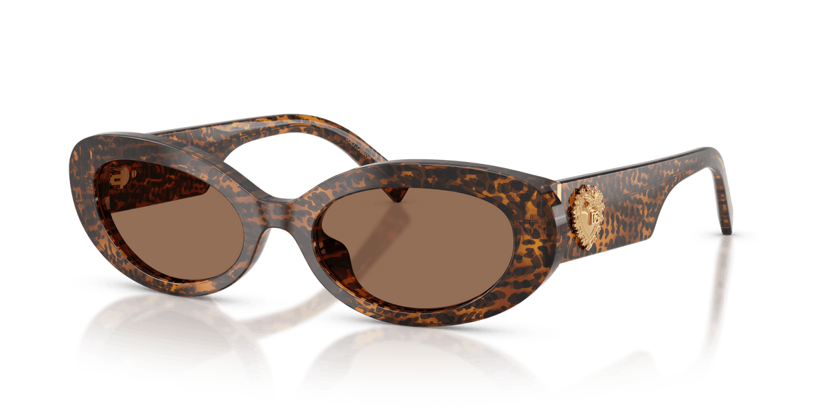 DG4537 DOLCE & GABBANA Brown/Brown S