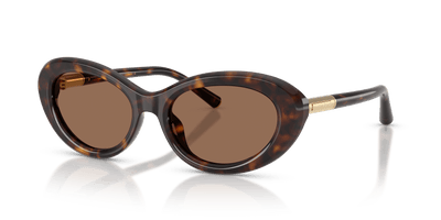 DG4519 DOLCE & GABBANA Tortoise/Brown S