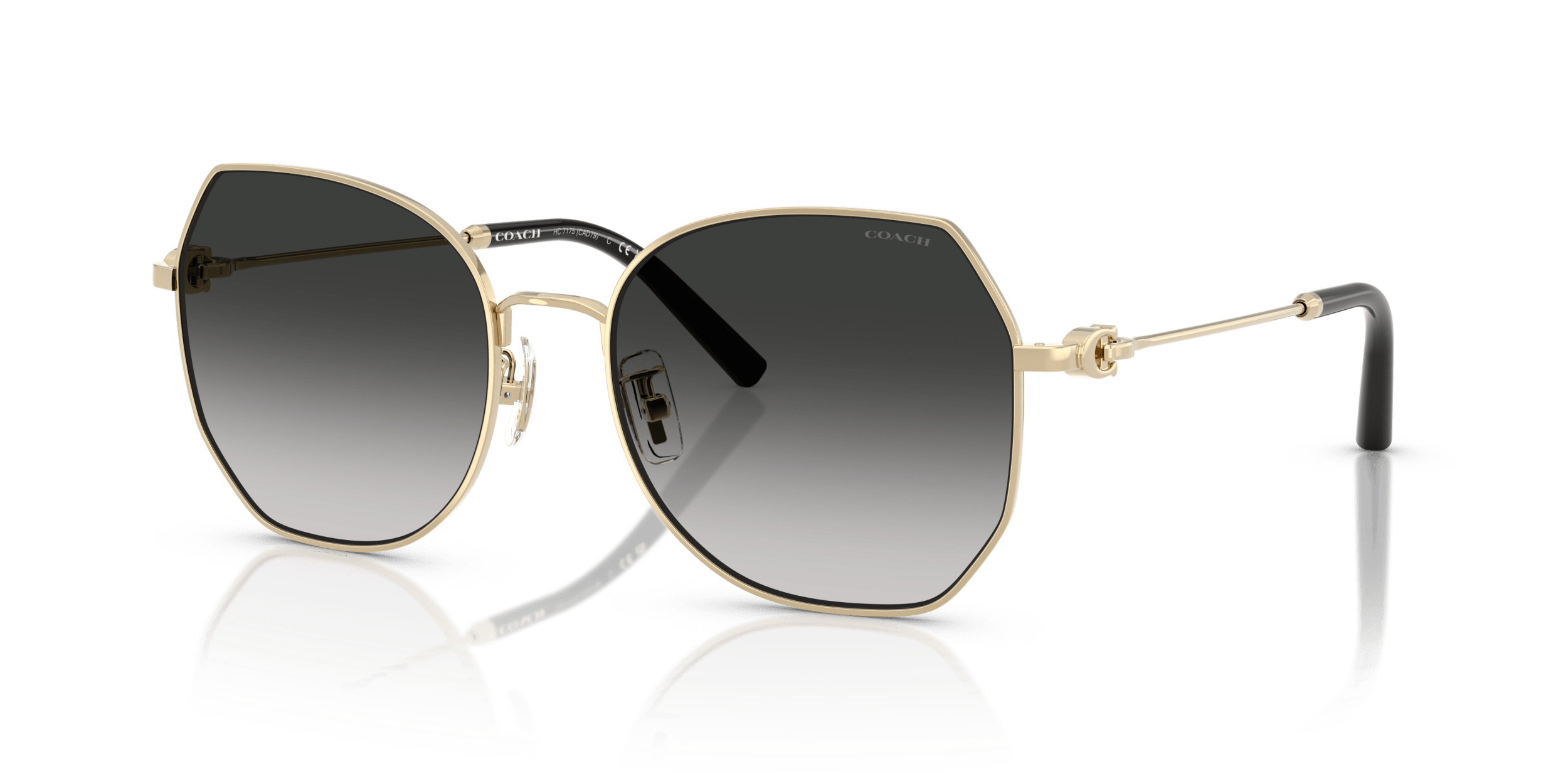 CAD79 Coach Gold/Grey XL
