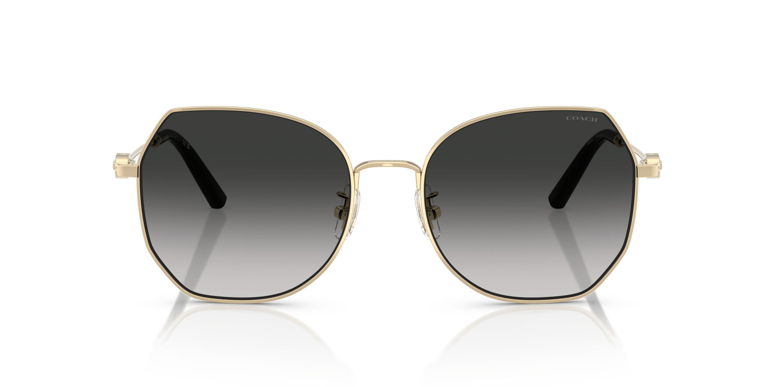 CAD79 Coach Gold/Grey XL