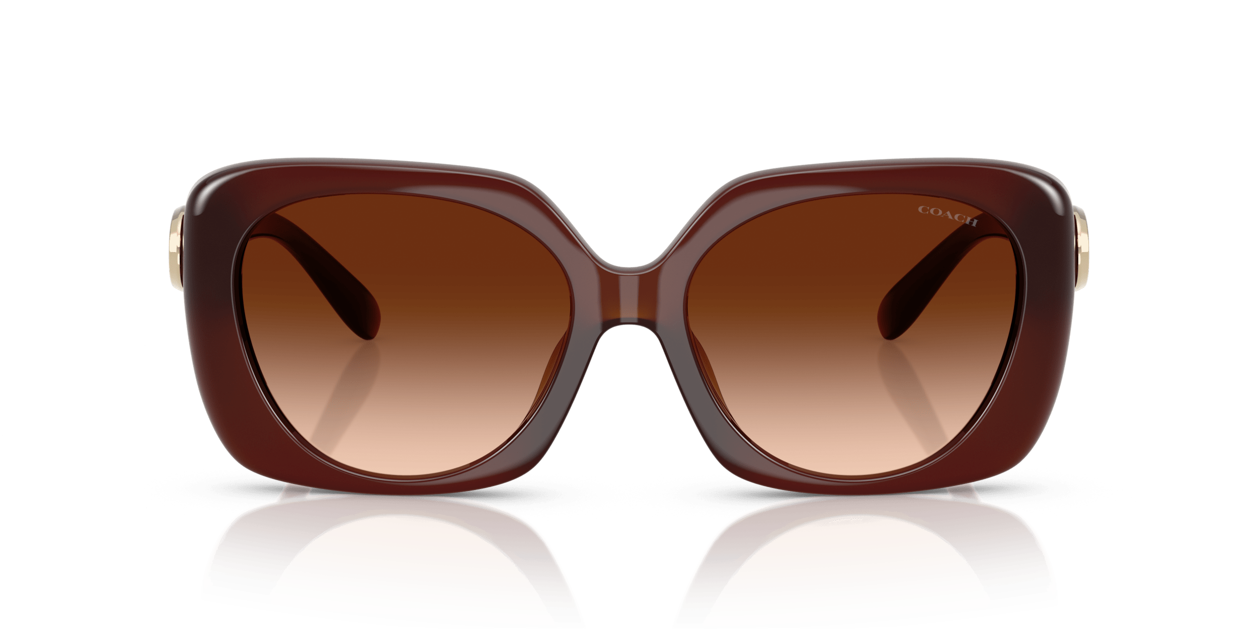 CAD33 Coach Brown/Brown M