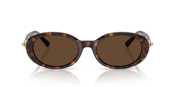 TF4242D TIFFANY Tortoise/Brown XXL