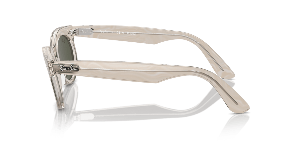 Wayfarer RAY-BAN Grey/Green L