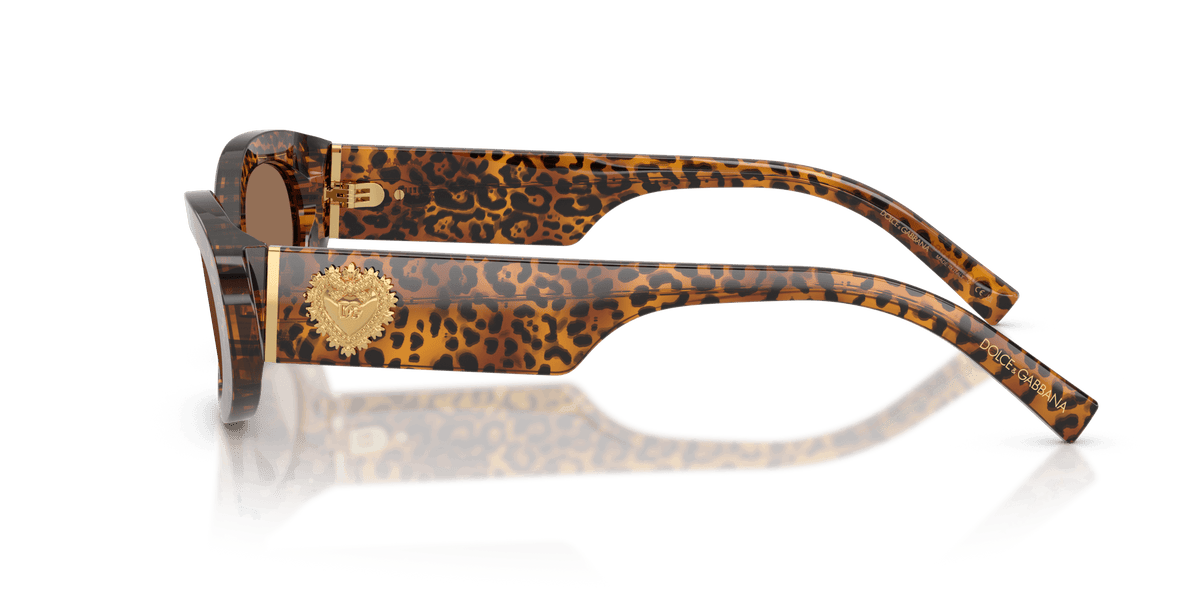 DG4537 DOLCE & GABBANA Brown/Brown S