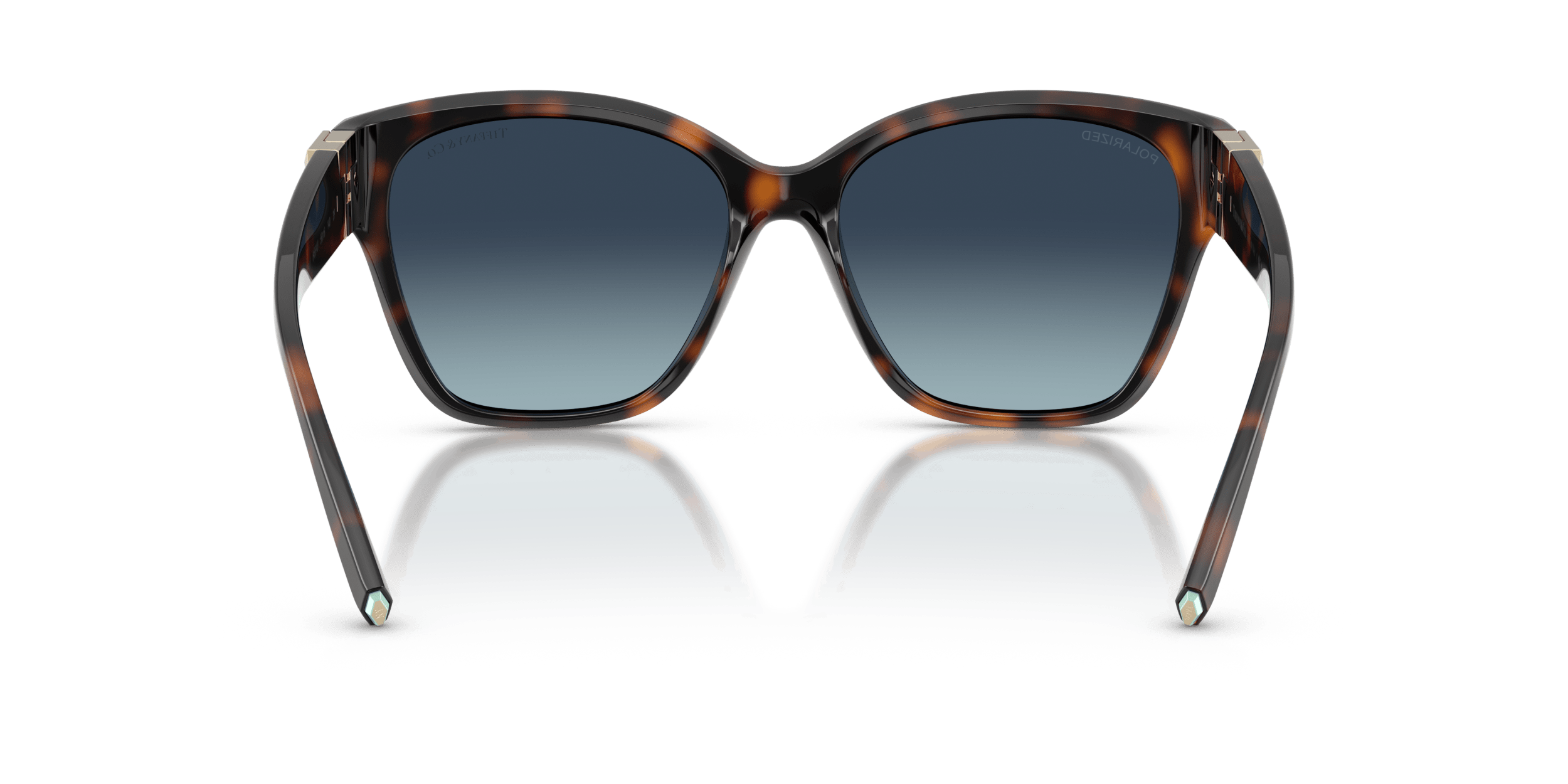 TF4254U TIFFANY Tortoise/Blue XL