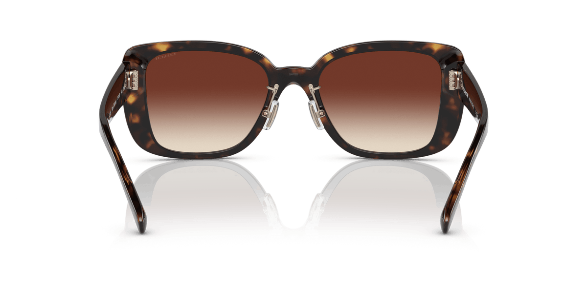 CD472 Coach Tortoise/Brown L