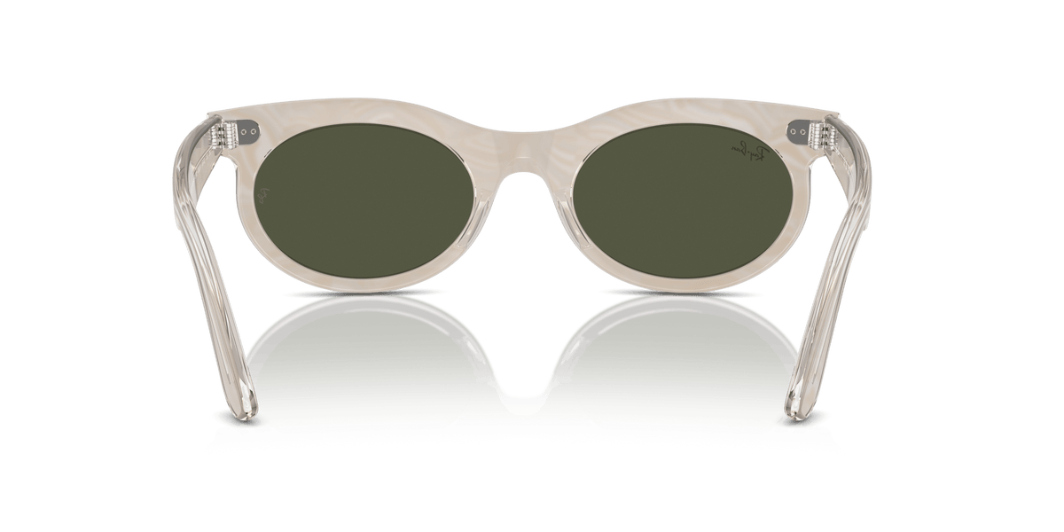 Wayfarer RAY-BAN Grey/Green L