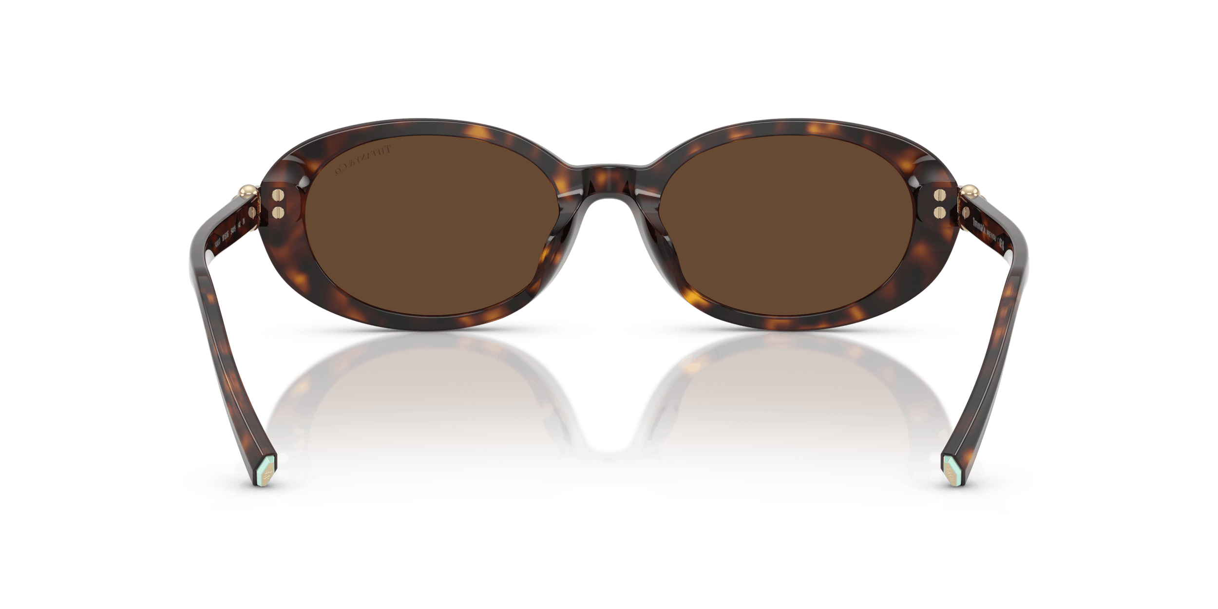 TF4242D TIFFANY Tortoise/Brown XXL