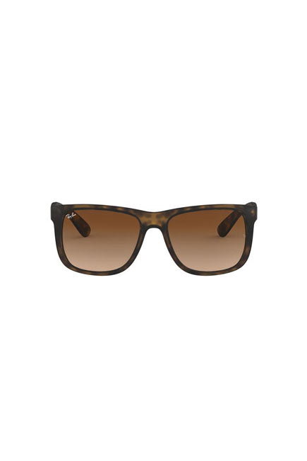 RB4165 Tortoise/Brown Gradient STD