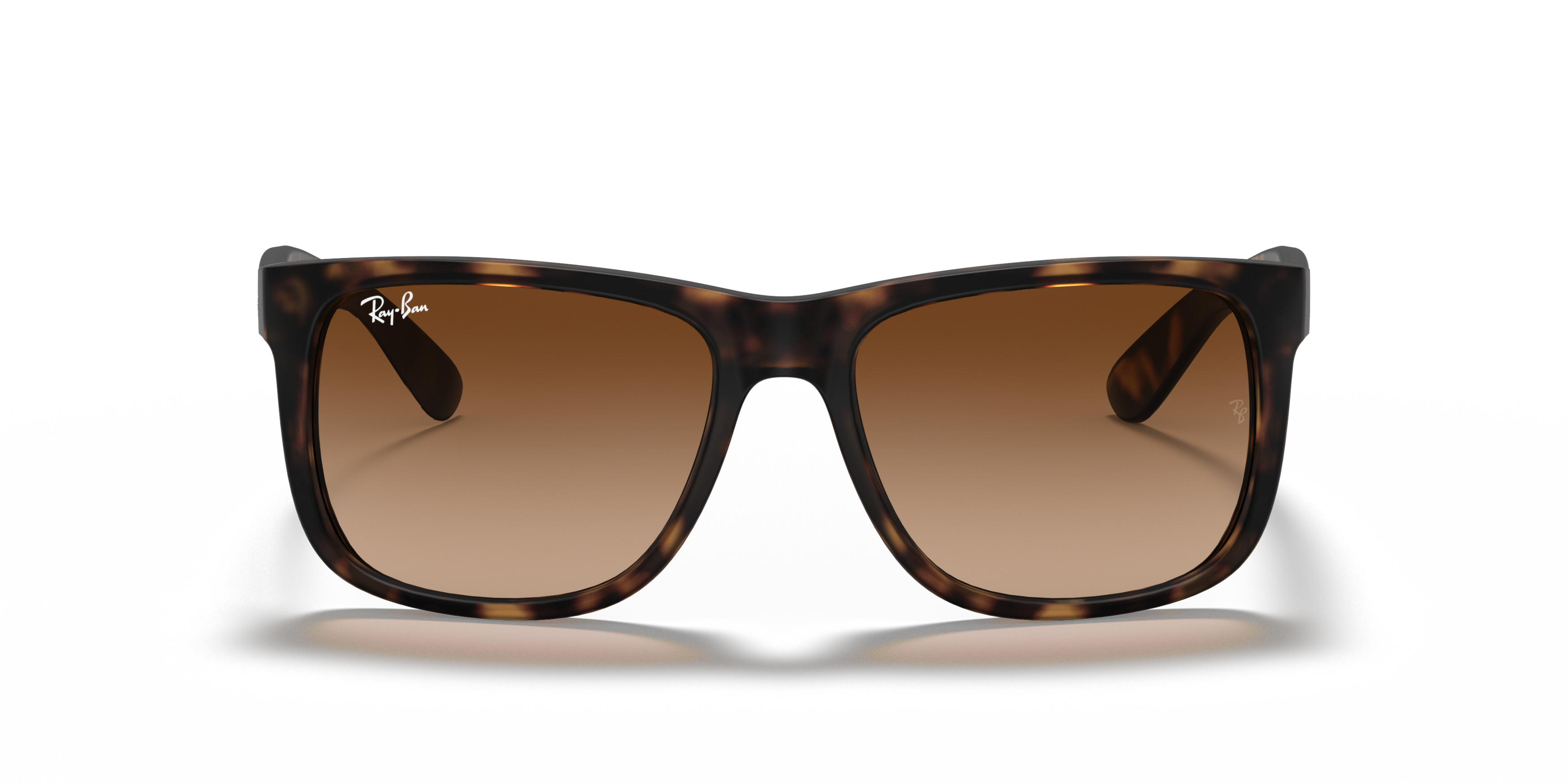 RB4165 Tortoise/Brown Gradient STD