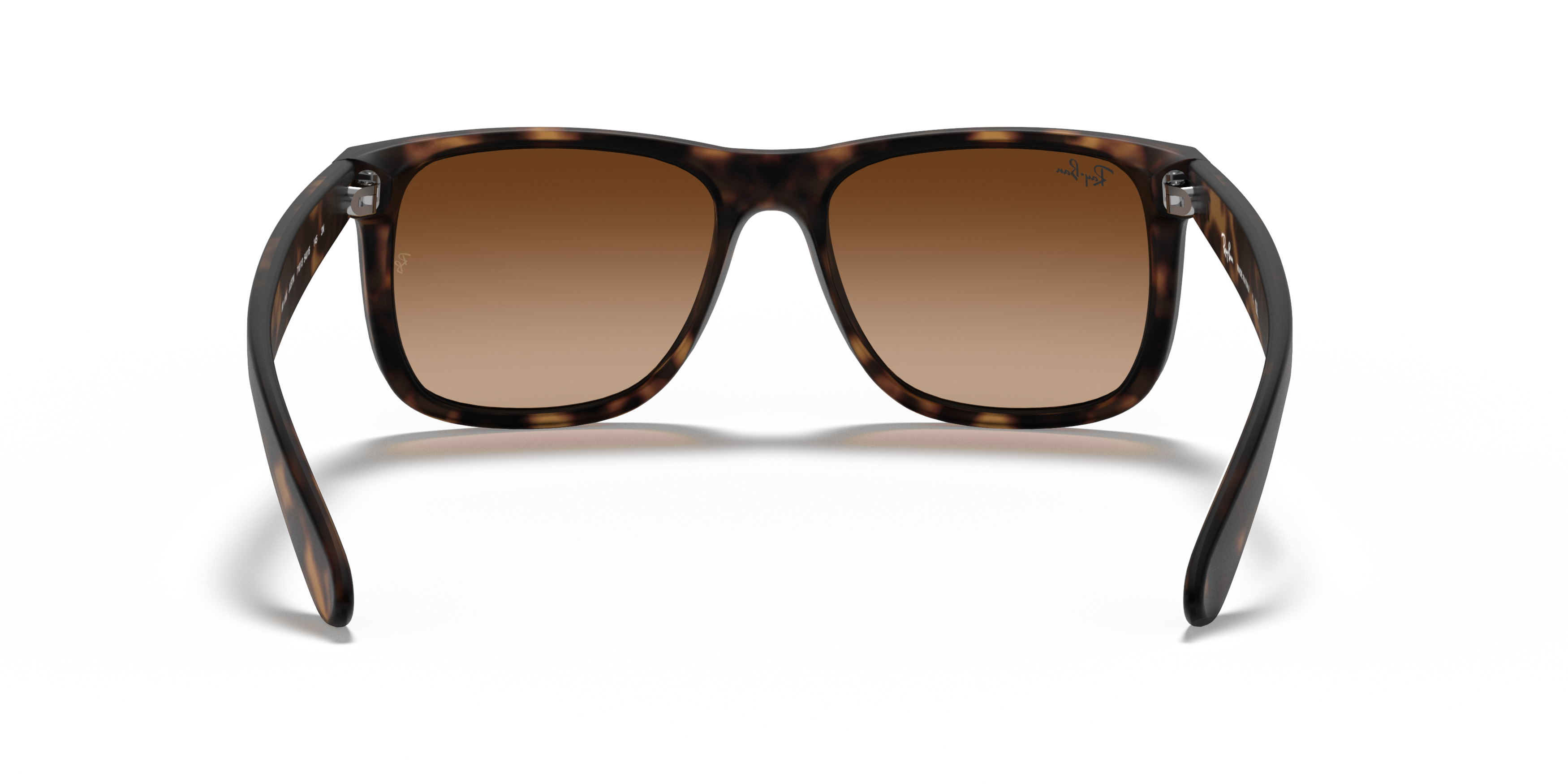 RB4165 Tortoise/Brown Gradient STD