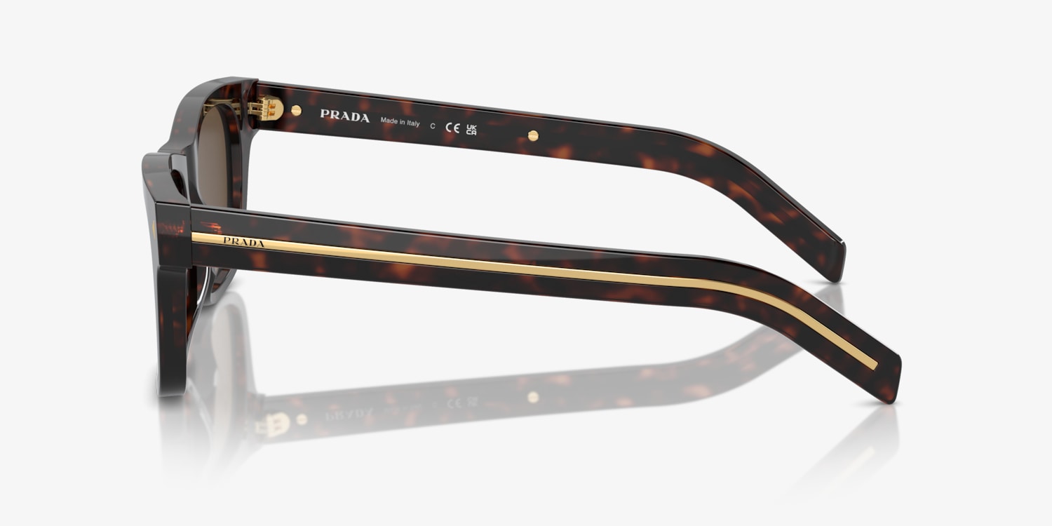 PR A16S برادا تورتويز/بني L