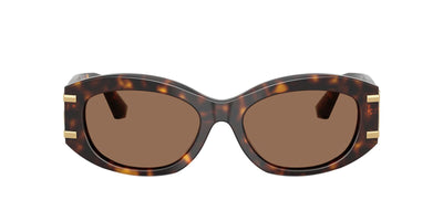 DG4502 Dolce & Gabbana Havana/Brown L