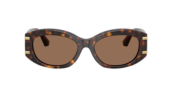 DG4502 Dolce & Gabbana Havana/Brown L