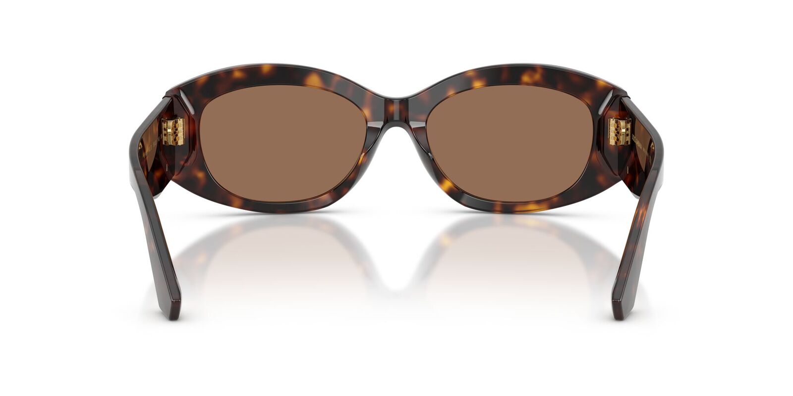 DG4502 Dolce & Gabbana Havana/Brown L – SunglassHut KSA
