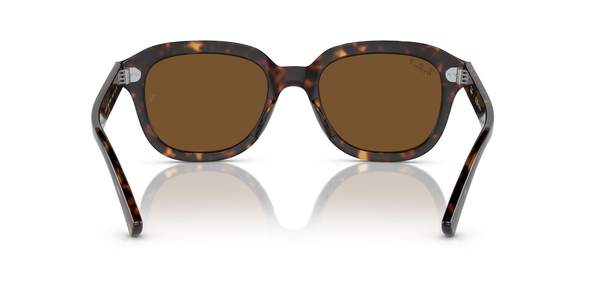 RB4398 Tortoise/Brown/Polarized L