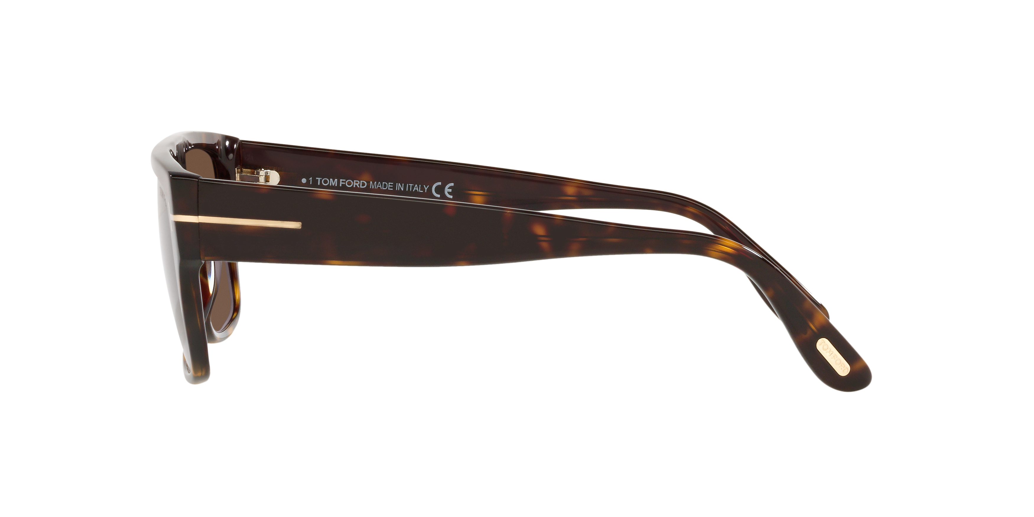 TR001363 Tortoise/Brown