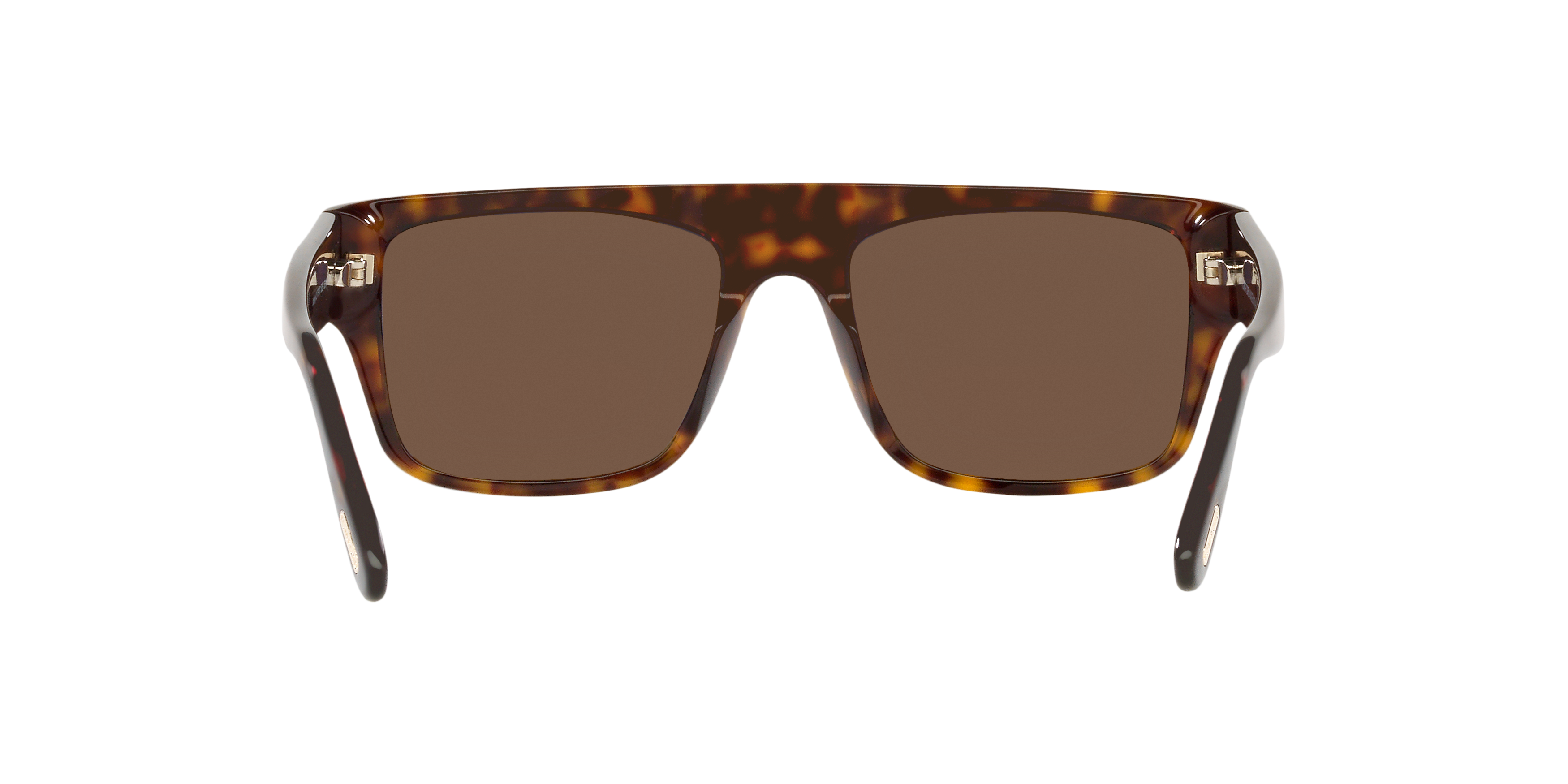 TR001363 Tortoise/Brown